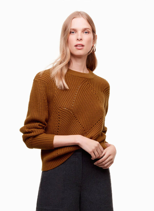 Brownish Sweater