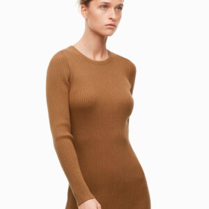Streep Brown Dress